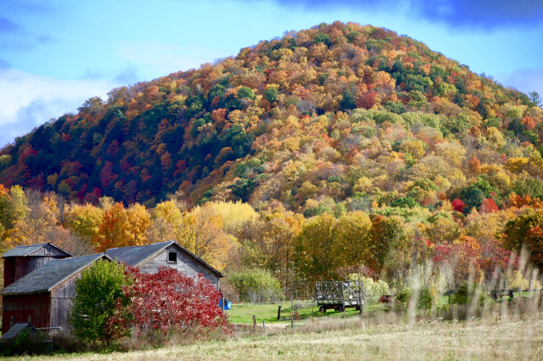 Peaking for fall